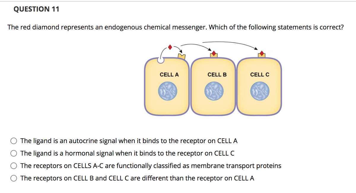 QUESTION 11
The red diamond represents an endogenous chemical messenger. Which of the following statements is correct?
CELL A
CELL B
CELL C
The ligand is an autocrine signal when it binds to the receptor on CELL A
The ligand is a hormonal signal when it binds to the receptor on CELL C
The receptors on CELLS A-C are functionally classified as membrane transport proteins
The receptors on CELL B and CELL C are different than the receptor on CELL A
