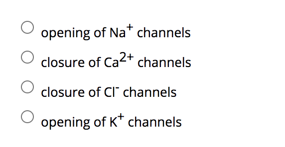 opening of Na* channels
closure of Ca2+
channels
closure of CI channels
opening of K* channels

