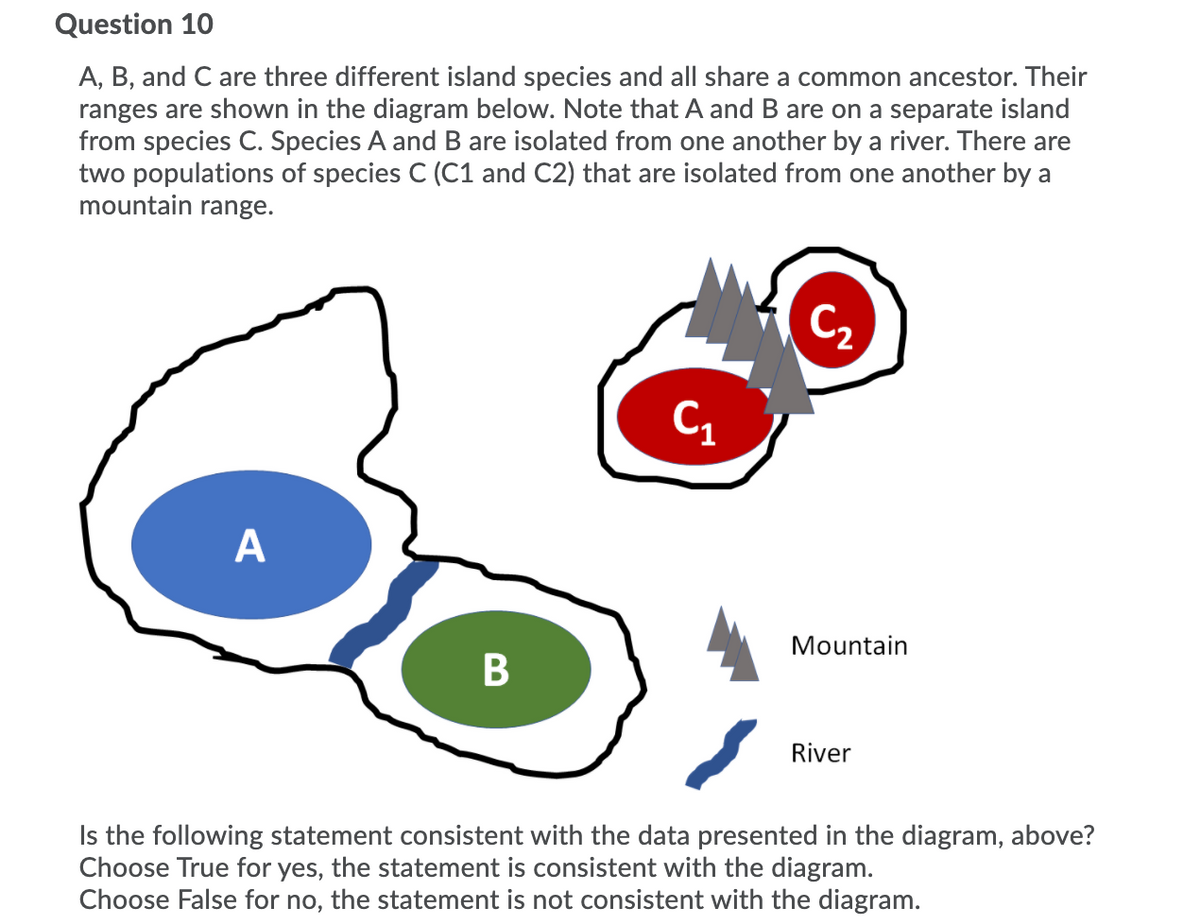Question 10
A, B, and C are three different island species and all share a common ancestor. Their
ranges are shown in the diagram below. Note that A and B are on a separate island
from species C. Species A andB are isolated from one another by a river. There are
two populations of species C (C1 and C2) that are isolated from one another by a
mountain range.
C2
A
Mountain
River
Is the following statement consistent with the data presented in the diagram, above?
Choose True for yes, the statement is consistent with the diagram.
Choose False for no, the statement is not consistent with the diagram.
