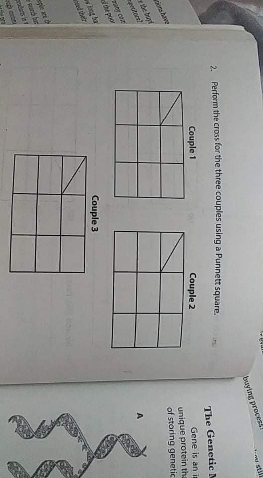 2. Perform the cross for the three couples using a Punnett square.
evalu
Couple 1
buying process!
tions have
v still
e the buyi
mpetitors?
Couple 2
many con
of the poor
The Genetic M
w long ha
osed their
Gene is an in
unique protein tha
of storing genetic
Couple 3
A
oyle are th
search har
prodacts in t
cugh cetin
pro
