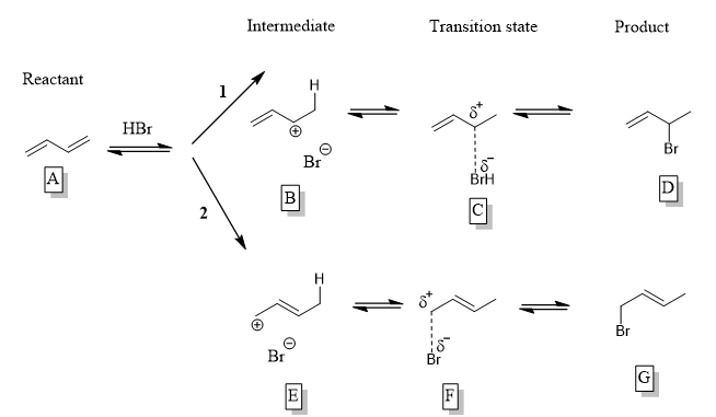 Intermediate
Transition state
Product
Reactant
H
HBr
Br
Br
A
BrH
D
B
C
H
Br
Br
Br
2.
