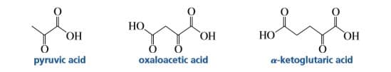 НО,
НО
НО
pyruvic acid
НО
oxaloacetic acid
НО
a-ketoglutaric acid

