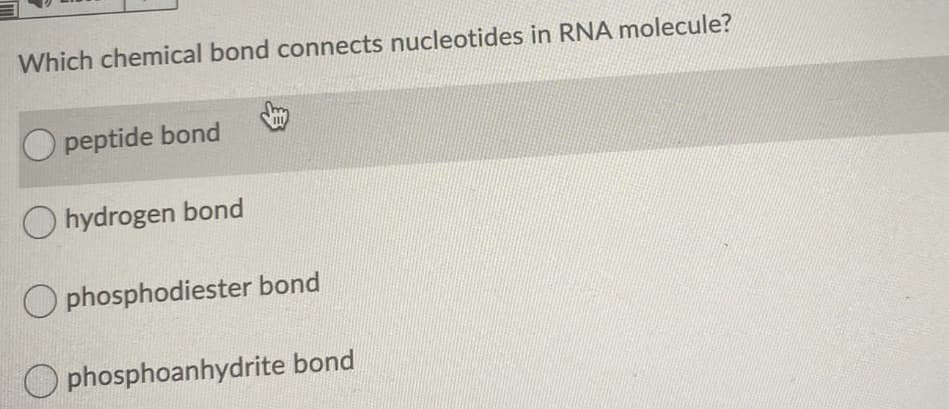 Which chemical bond connects nucleotides in RNA molecule?
peptide bond
O hydrogen bond
O phosphodiester bond
phosphoanhydrite bond
