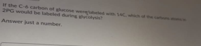 If the C-6 carbon of glucose werelabeled with 14C, which of the carbons atoms in
2PG would be labeled during glycolysis?
Answer just a number.
