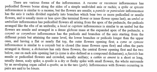 There are various forms of the inflorescence. A raceme or racemose inflorescence has
pedicelled flowers borne along the sides of a simple undivided axis or rachis; a spike or spicate
inflorescence is similar to a raceme, but the flowers are sessile; a panicle or paniculate inflorescence
has the axis ir rachis divided regularly into branches which bear two or more pedicelled or sessile
flowers, and is usually more or less open (the terminal flower or inner flower opens last); an umbel or
umbellate inflorescence has pedicelled flowers all arising from the apex of the peduncle, the pedicels
arranged like the ribs of an umbrella; a head or capitate inflorescence is similar to an umbel but the
flowers are sessile and arranged in a dense globose mass at the expanded apex of the peduncle; a
corymb or corymbose inflorescence has the pedicels and branches of the axis starting from the
different points but attaining the same level, the lower branches or pedicels longer than the upper
ones, and having a flat or nearly flat top, the outer flowers opening first; a cyme or cymose
inflorescence is similar to a corymb but is closed (the inner flowers open first) and often the parts
arranged in threes; a dichasium has only three flowers, the central flower opening first and the two
below, one on each side opening last (a cyme is also defined as a compound dichasium); a fascicle has
sessile or pedicelled flowers and crowded, usually axillary; a catkin or ament is a short or long,
usually dense, scaly spike; a spadix is a dry or fleshy spike with small flowers, the whole surrounde
by an enveloping organ called a spathe, as in the taro (gabi). Inflorescence with flowers occurring in
pairs are said to be binate.
