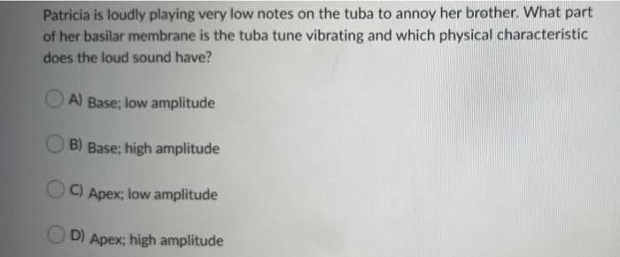 Patricia is loudly playing very low notes on the tuba to annoy her brother. What part
of her basilar membrane is the tuba tune vibrating and which physical characteristic
does the loud sound have?
A) Base; low amplitude
B) Base; high amplitude
C) Apex; low amplitude
D) Apex; high amplitude
