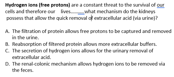 Hydrogen ions (free protons) are a constant threat to the survival of our
cells and therefore our lives..what mechanism do the kidneys
possess that allow the quick removal of extracellular acid (via urine)?
A. The filtration of protein allows free protons to be captured and removed
in the urine.
B. Reabsorption of filtered protein allows more extracellular buffers.
C. The secretion of hydrogen ions allows for the urinary removal of
extracellular acid.
D. The renal-colonic mechanism allows hydrogen ions to be removed via
the feces.
