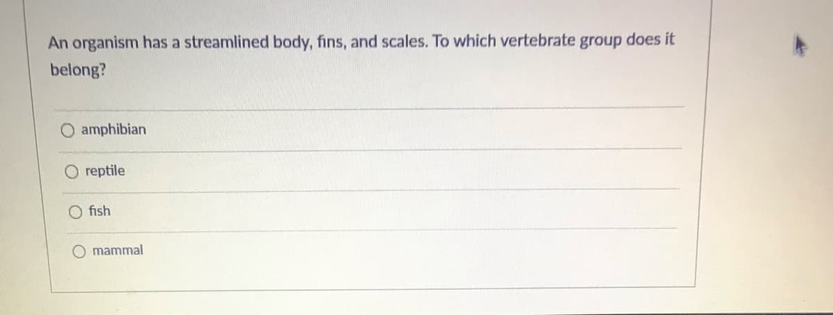 An organism has a streamlined body, fins, and scales. To which vertebrate group does it
belong?
O amphibian
reptile
fish
O mammal
