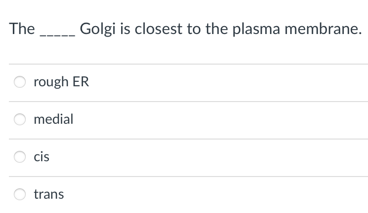 The ___
rough ER
medial
cis
Golgi is closest to the plasma membrane.
trans