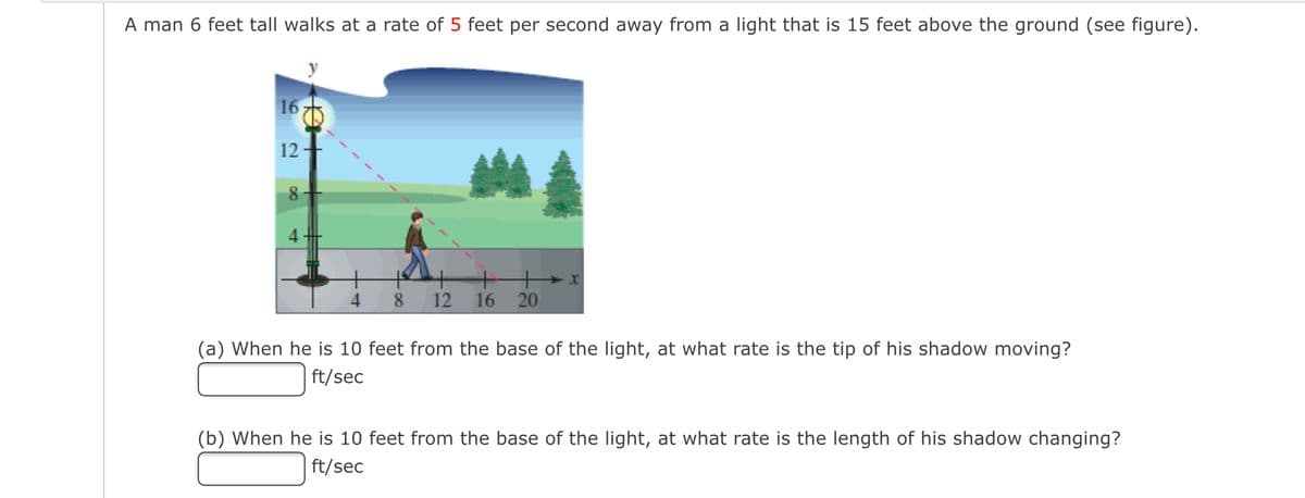 A man 6 feet tall walks at a rate of 5 feet per second away from a light that is 15 feet above the ground (see figure).
165
12
8
+++ x
12
16 20
4.
8.
(a) When he is 10 feet from the base of the light, at what rate is the tip of his shadow moving?
| ft/sec
(b) When he is 10 feet from the base of the light, at what rate is the length of his shadow changing?
ft/sec
