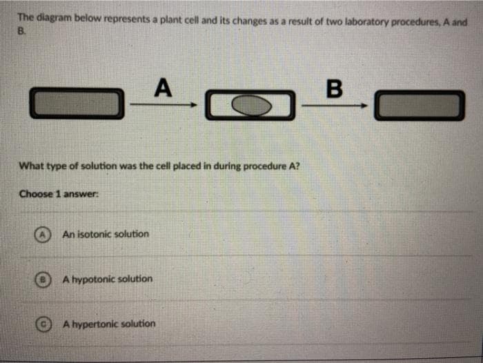 The diagram below represents a plant cell and its changes as a result of two laboratory procedures, A and
B.
What type of solution was the cell placed in during procedure A?
Choose 1 answer:
An isotonic solution
A
A hypotonic solution
A hypertonic solution
B