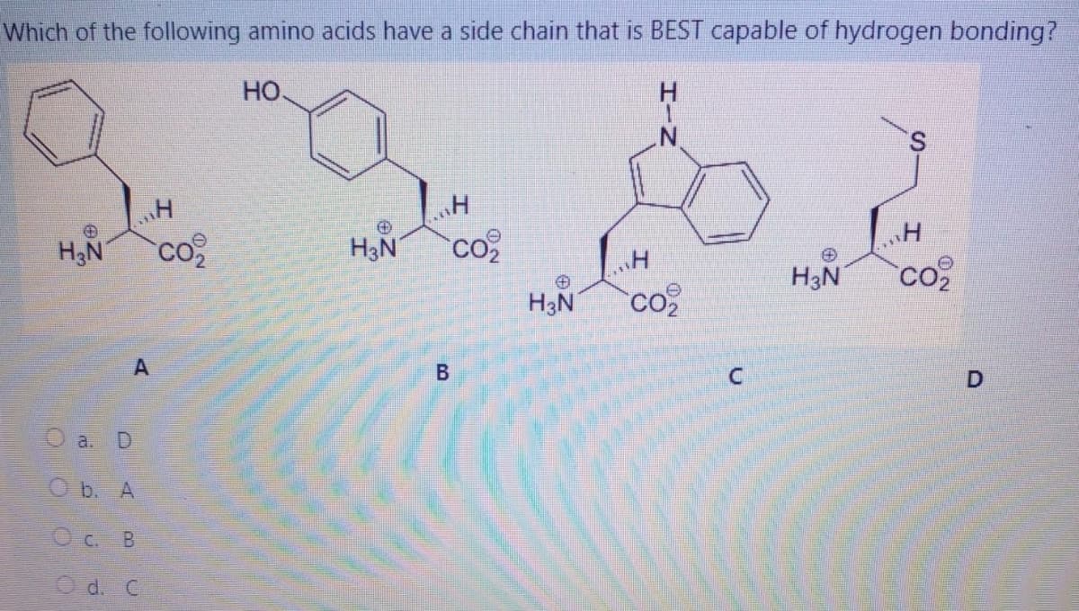 Which of the following amino acids have a side chain that is BEST capable of hydrogen bonding?
HO.
H,N
co
H3N
co
H3N
co
H3N
Co
O a. D
O b. A
O c. B
d. C
B.
