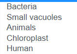 Bacteria
Small vacuoles
Animals
Chloroplast
Human