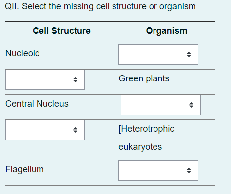 QII. Select the missing cell structure or organism
Cell Structure
Organism
Nucleoid
Central Nucleus
Flagellum
Green plants
[Heterotrophic
eukaryotes