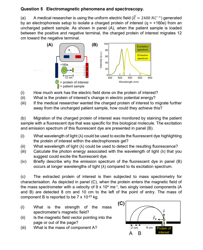 Question 5 Electromagnetic phenomena and spectroscopy.
(a) A medical researcher is using the uniform electric field (E = 2400 NC-¹) generated
by an electrophoresis setup to isolate a charged protein of interest (q = +160e) from an
uncharged patient sample. As shown in panel (A), when the patient sample is loaded
between the positive and negative terminal, the charged protein of interest migrates 12
cm toward the negative terminal.
(A)
(B)
€€€
(ii)
(iii)
(iv)
(c)
+160e
-0
(1)
(ii)
(iii)
12 cm
= protein of interest
= patient sample
Intensity (a.u.)
100
80
60
40
20
ol
450
Excitation
spectrum
(b) Migration of the charged protein of interest was monitored by staining the patient
sample with a fluorescent dye that was specific for this biological molecule. The excitation
and emission spectrum of this fluorescent dye are presented in panel (B).
(1)
Emission
spectrum
500 550 600
Wavelength (nm)
How much work has the electric field done on the protein of interest?
What is the protein of interest's change in electric potential energy?
If the medical researcher wanted the charged protein of interest to migrate further
away from the uncharged patient sample, how could they achieve this?
What is the strength of the mass
spectrometer's magnetic field?
Is the magnetic field vector pointing into the
page or out of the page?
What is the mass of component A?
650
What wavelength of light (A) could be used to excite the fluorescent dye highlighting
the protein of interest within the electrophoresis gel?
What wavelength of light (A) could be used to detect the resulting fluorescence?
Calculate the photon energy associated with the wavelength of light (A) that you
suggest could excite the fluorescent dye.
Briefly describe why the emission spectrum of the fluorescent dye in panel (B)
occurs at longer wavelengths of light (A) compared to its excitation spectrum.
The extracted protein of interest is then subjected to mass spectrometry for
characterisation. As depicted in panel (C), when the protein enters the magnetic field of
the mass spectrometer with a velocity of 9 x 104 ms-1, two singly ionised components (A
and B) are detected 8 cm and 10 cm to the left of the point of entry. The mass of
component B is reported to be 7 x 10-23 kg.
(C)
2 cm
A B
0024
8 cm Protein of
interest