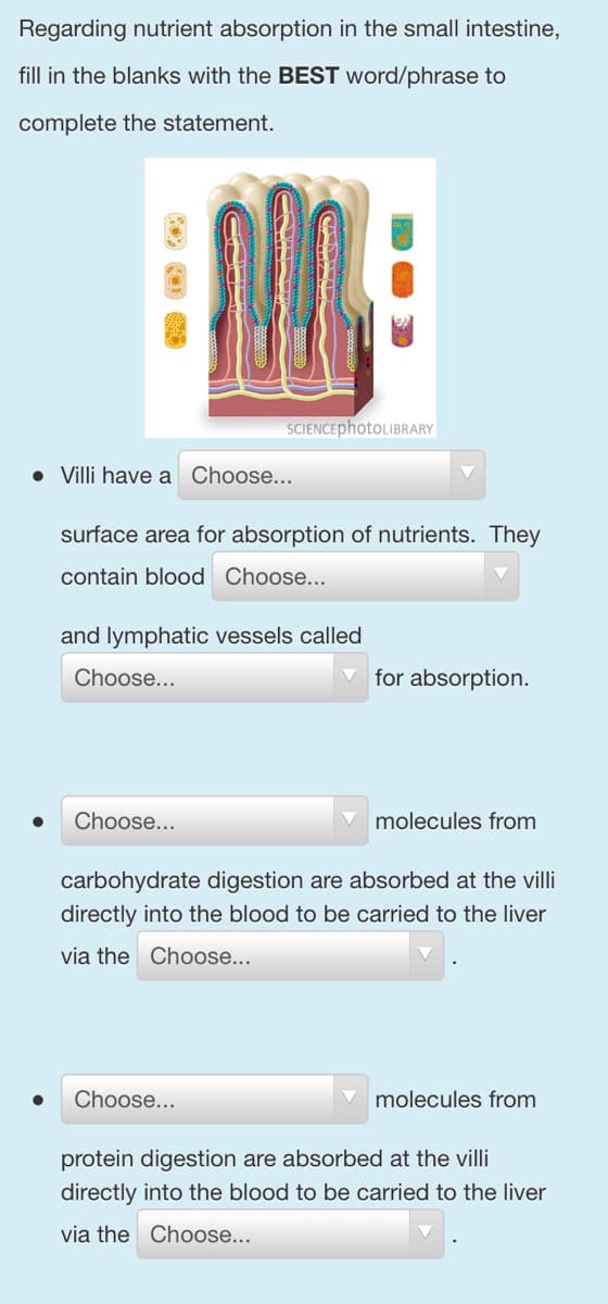 Regarding nutrient absorption in the small intestine,
fill in the blanks with the BEST word/phrase to
complete the statement.
• Villi have a Choose...
SCIENCEphotoLIBRARY
surface area for absorption of nutrients. They
contain blood Choose...
and lymphatic vessels called
Choose...
Choose...
Choose...
for absorption.
molecules from
carbohydrate digestion are absorbed at the villi
directly into the blood to be carried to the liver
via the
Choose...
molecules from
protein digestion are absorbed at the villi
directly into the blood to be carried to the liver
via the Choose...