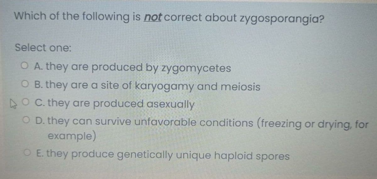 Which of the following is not correct about zygosporangia?
Select one:
O A. they are produced by zygomycetes
O B. they are a site of karyogamy and meiosis
4O C. they are produced asexually
O D. they can survive unfavorable conditions (freezing or drying, for
example)
O E. they produce genetically unique haploid spores
