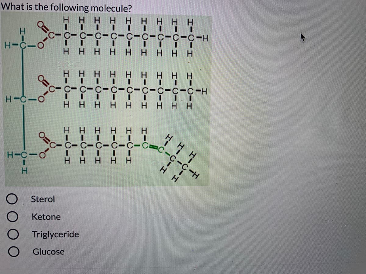 What is the following molecule?
H.
-
H-C-O
--
H-C
Sterol
Ketone
Triglyceride
Glucose
I-CIH I-CIH
I-CIH
I-CIH
I-CIH
HICIH
1-0-I 1-̟-I
HICIH
HIC
I-CIH
I-CIH
HICIH
I-C-I
I-0-H
HICIH
IICIH
1-6-I 1-6-I 1-d-I
1-6-I I-6-I 1-d-I
I-0-I
HICIH
HICIH
I-CIH
CIH
O O O O
