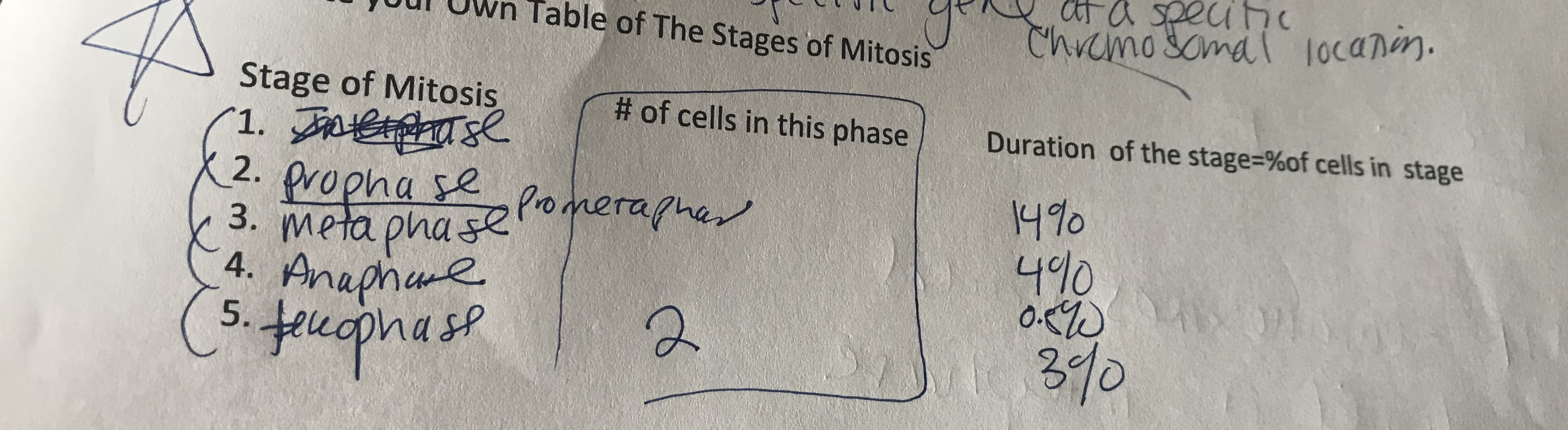 of Mitosis
Somal locann.
Stage of Mitosis
1. AEse
fropha se
3. meta pha seoneraphan
4. Anaphane
5.
# of cells in this phase
Duration of the stage=%of cells in stage
2.
14%
4%0
fece
nase
30
