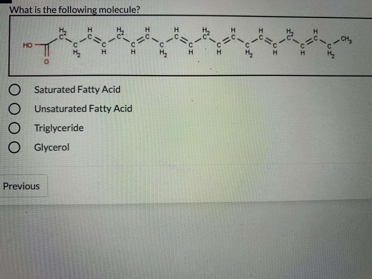 What is the following molecule?
H,
H
H
H.
H.
CH,
HO
H
H
Saturated Fatty Acid
Unsaturated Fatty Acid
Triglyceride
Glycerol
Previous
