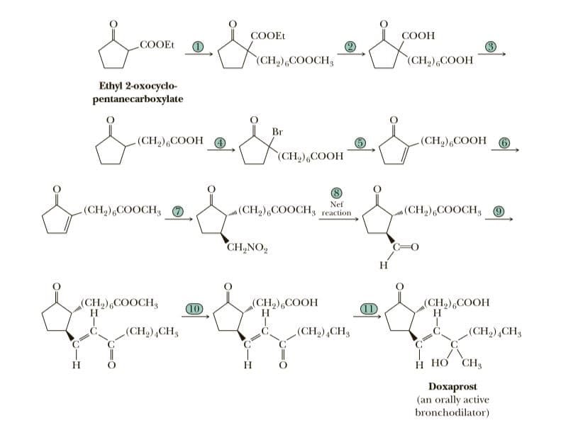 COOEt
СООН
COOEt
(CH,),COOCH
(CH,),COOH
Ethyl 2-oxocyclo-
pentanecarboxylate
Br
(CH,),COOH
(CH,),COOH O
(CH,),COOH
Nef
(CH2),COOCH3 reaction
(CH2),COOCH3
n(CH2),COOCH,
CH,NO,
H
aCH),COOCH3
H.
10
(CH2),COOH
H
(CH),COOH
H
(CH,),CH3
(CH2),CH3
(CH,),CH3
H.
H HƠ CH3
Doxaprost
(an orally active
bronchodilator)
