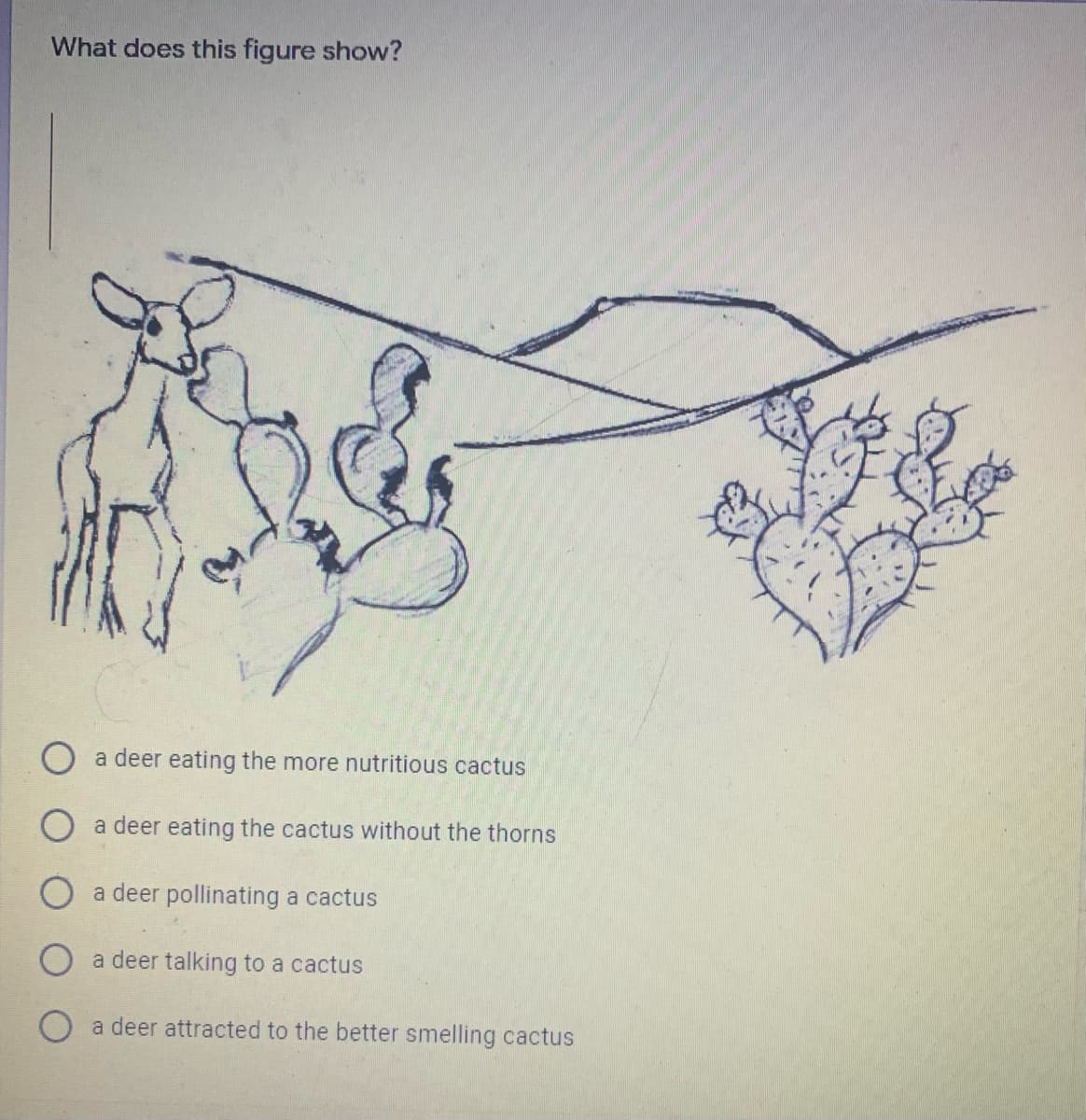 What does this figure show?
a deer eating the more nutritious cactus
a deer eating the cactus without the thorns
a deer pollinating a cactus
a deer talking to a cactus
a deer attracted to the better smelling cactus
