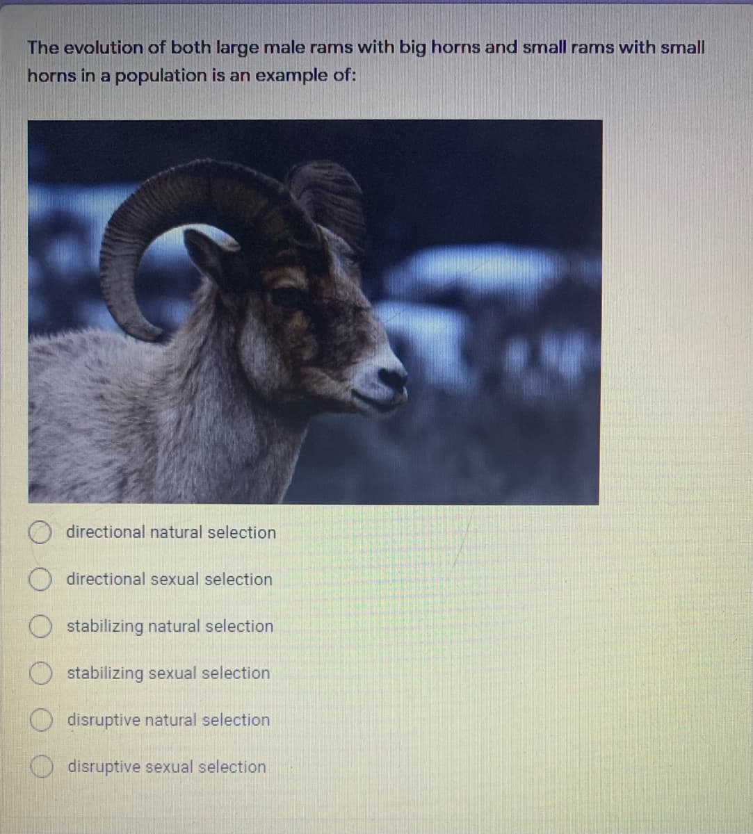 The evolution of both large male rams with big horns and small rams with small
horns in a population is an example of:
directional natural selection
directional sexual selection
stabilizing natural selection
stabilizing sexual selection
disruptive natural selection
disruptive sexual selection
