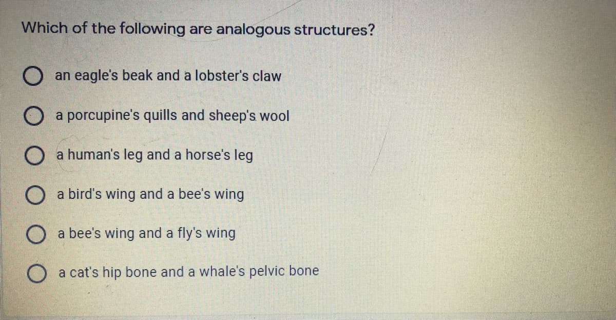 Which of the following are analogous structures?
O an eagle's beak and a lobster's claw
O a porcupine's quills and sheep's wool
O a human's leg and a horse's leg
O a bird's wing and a bee's wing
O a bee's wing and a fly's wing
O a cat's hip bone and a whale's pelvic bone
