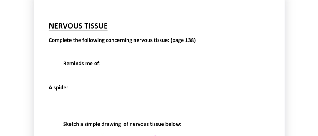 NERVOUS TISSUE
Complete the following concerning nervous tissue: (page 138)
Reminds me of:
Sketch a simple drawing of nervous tissue below:
A spider