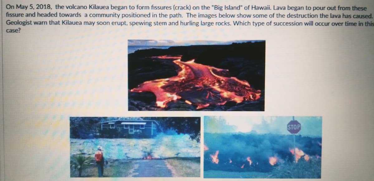 On May 5, 2018, the volcano Kilauea began to form fissures (crack) on the "Big Island" of Hawaii. Lava began to pour out from these
fissure and headed towards a community positioned in the path. The images below show some of the destruction the lava has caused.
Geologist warn that Kilauea may soon erupt, spewing stem and hurling large rocks. Which type of succession will occur over time in this
case?
STOP
