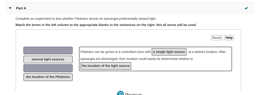 Part A
Complete an experiment to test whether Pilobolus shoots its sporangia preferentially toward light.
Match the terms in the left column to the appropriate blanks in the sentences on the right. Not all terms will be used.
Reset Help
Pilobolus can be grown in a controlled room with a single light source
sporangia are discharged, their location could easily be determined relative to
location. After
at a distinct
several light sources
the location of the light source
the location of the
Pilobolus
O Dearson.
