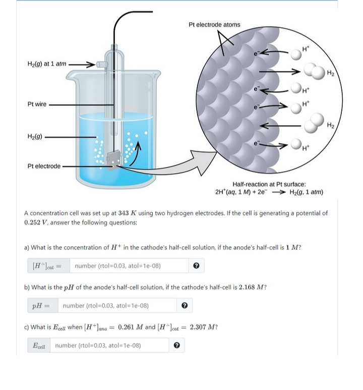 Pt electrode atoms
H
H2(g) at 1 atm
H2
H*
Pt wire
H2
H2(g)
Pt electrode
Half-reaction at Pt surface:
2H*(aq, 1 M) + 2e" → H2(g, 1 atm)
A concentration cell was set up at 343 K using two hydrogen electrodes. If the cell is generating a potential of
0.252 V, answer the following questions:
a) What is the concentration of H* in the cathode's half-cell solution, if the anode's half-cell is 1 M?
(H*]cat =
number (rtol=0.03, atol=1e-08)
b) What is the pH of the anode's half-cell solution, if the cathode's half-cell is 2.168 M?
pH =
number (rtol=0.03, atol=1e-08)
c) What is Eell when (H*]ano = 0.261 M and (H"]cat = 2.307 M?
Ecell number (rtol=0.03, atol=1e-08)
