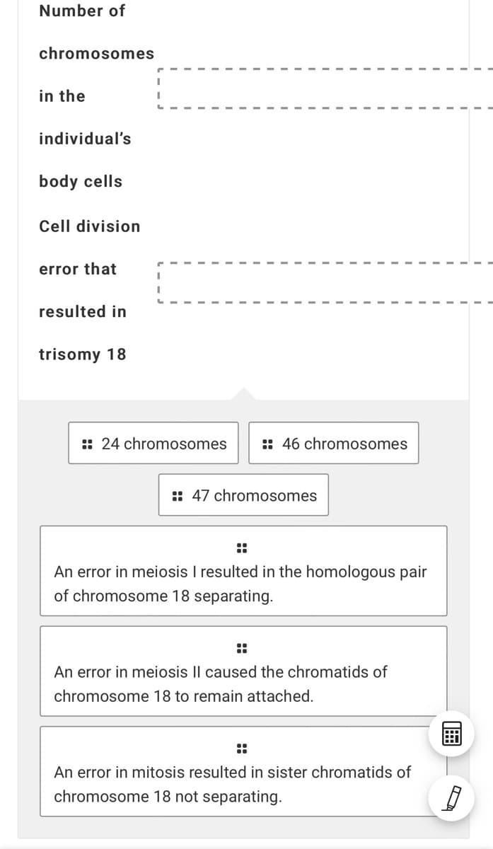 Number of
chromosomes
in the
individual's
body cells
Cell division
error that
resulted in
trisomy 18
:: 24 chromosomes
:: 46 chromosomes
:: 47 chromosomes
::
An error in meiosis I resulted in the homologous pair
of chromosome 18 separating.
::
An error in meiosis Il caused the chromatids of
chromosome 18 to remain attached.
::
An error in mitosis resulted in sister chromatids of
chromosome 18 not separating.
