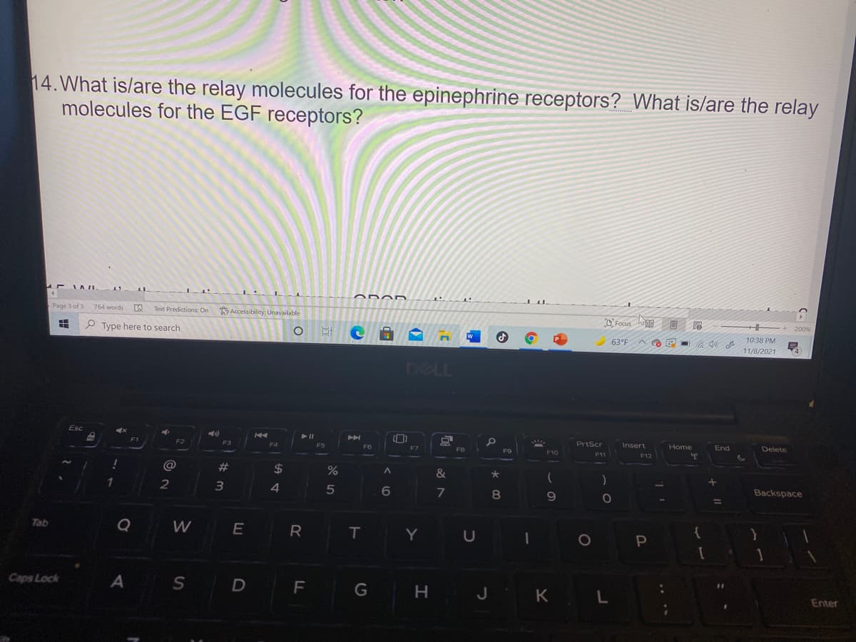 14. What is/are the relay molecules for the epinephrine receptors? What is/are the relay
molecules for the EGF receptors?
Page 3 of 3
764 words
Text Predictions: On
* Accessibility: Unavailable
O Focus hi
le
+ 200%
P Type here to search
10:38 PM
63°F
11/8/2021
4.
DELL
Esc
PrtScr
Insert
Home
End
Delete
F1
F2
F3
F4
FS
F6
F7
FB
F9
F10
F11
F12
1
ACD
@
23
$
&
Backspace
4.
6.
8
9
%3D
Q
W E R
Tab
T Y U
10
A
D F
Caps Lock
G
|J K L
Enter
