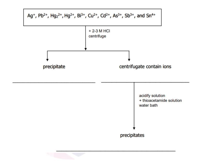 Ag*, Pb2+, Hg,2+, Hg2+, Bi3+, Cu2+, Cd2+, As3+, Sb3+, and Sn+
+ 2-3 M HCI
centrifuge
precipitate
centrifugate contain ions
acidify solution
+ thioacetamide solution
water bath
precipitates
