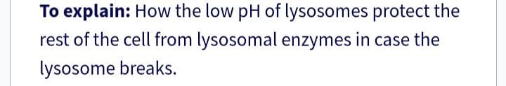 To explain: How the low pH of lysosomes protect the
rest of the cell from lysosomal enzymes in case the
lysosome breaks.
