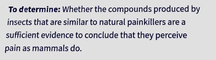 To determine: Whether the compounds produced by
insects that are similar to natural painkillers are a
sufficient evidence to conclude that they perceive
pain as mammals do.
