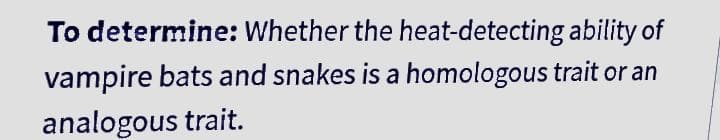 To determine: Whether the heat-detecting ability of
vampire bats and snakes is a homologous trait or an
analogous trait.
