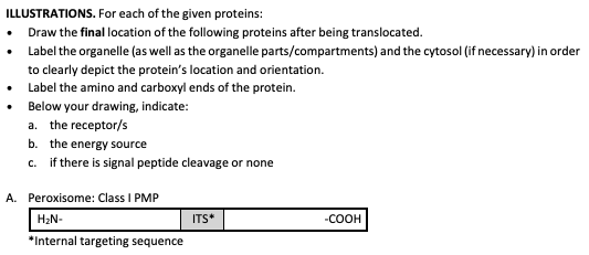 ILLUSTRATIONS. For each of the given proteins:
Draw the final location of the following proteins after being translocated.
•
Label the organelle (as well as the organelle parts/compartments) and the cytosol (if necessary) in order
to clearly depict the protein's location and orientation.
•
Label the amino and carboxyl ends of the protein.
Below your drawing, indicate:
a. the receptor/s
b. the energy source
c. if there is signal peptide cleavage or none
A. Peroxisome: Class I PMP
H₂N-
ITS*
*Internal targeting sequence
-COOH