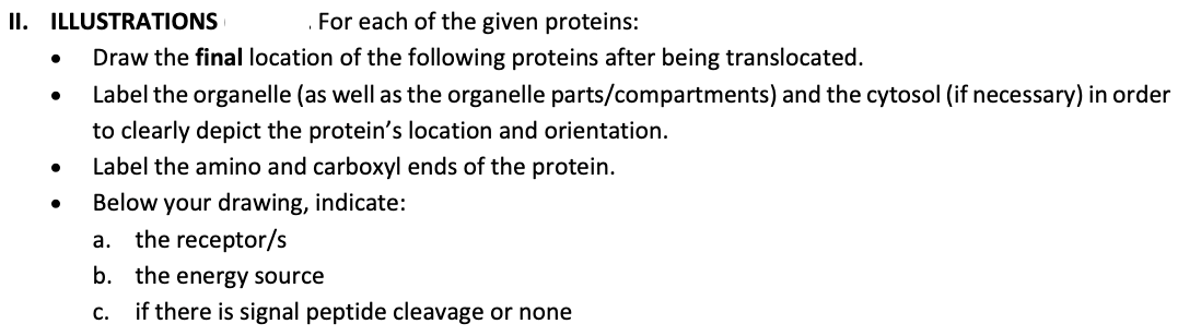 II. ILLUSTRATIONS
For each of the given proteins:
●
Draw the final location of the following proteins after being translocated.
●
Label the organelle (as well as the organelle parts/compartments) and the cytosol (if necessary) in order
to clearly depict the protein's location and orientation.
Label the amino and carboxyl ends of the protein.
Below your drawing, indicate:
a.
the receptor/s
b. the energy source
C.
if there is signal peptide cleavage or none
●