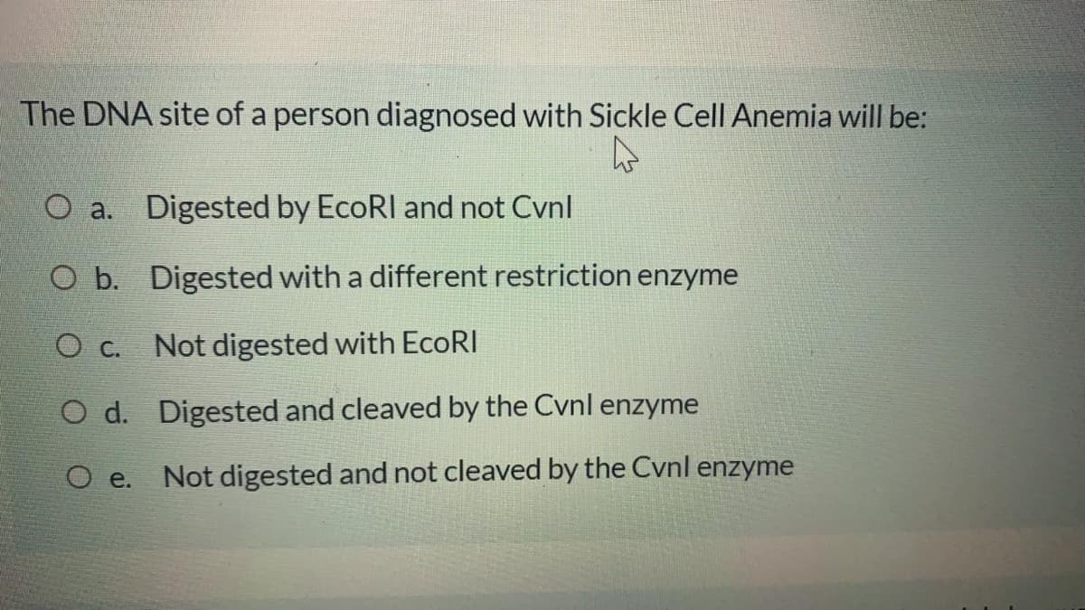 The DNA site of a person diagnosed with Sickle Cell Anemia will be:
O a.
Digested by EcoRI and not Cvnl
O b. Digested with a different restriction enzyme
Ос.
Not digested with EcoRI
O d. Digested and cleaved by the Cvnl enzyme
O e.
Not digested and not cleaved by the Cvnl enzyme
