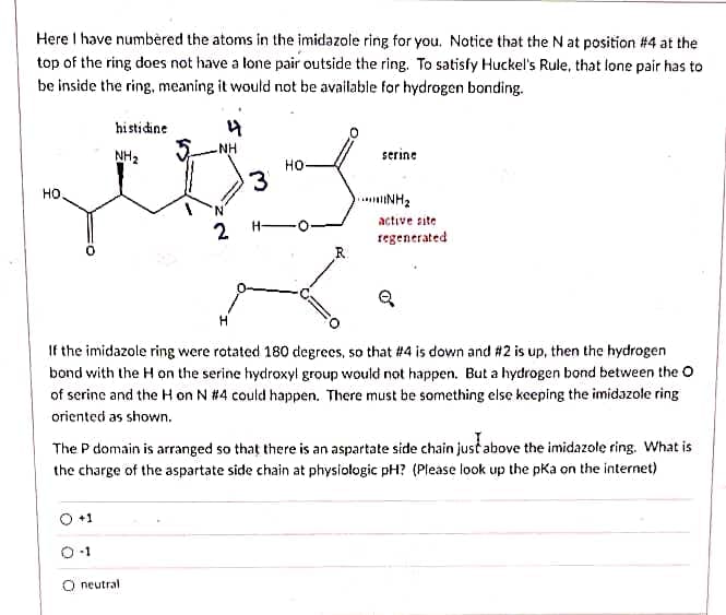 Here I have numbèred the atoms in the imidazole ring for you. Notice that the N at position #4 at the
top of the ring does not have a lone pair outside the ring. To satisfy Huckel's Rule, that lone pair has to
be inside the ring, meaning it would not be available for hydrogen bonding.
histidine
NH
NH2
serine
но-
но.
NH2
active site
2 H-
regenerated
If the imidazole ring were rotated 180 degrees, so that #4 is down and #2 is up, then the hydrogen
bond with the H on the serine hydroxyl group would not happen. But a hydrogen bond between the O
of serine and the H on N #4 could happen. There must be something else keeping the imidazole ring
oriented as shown.
The P domain is arranged so that there is an aspartate side chain just above the imidazole ring. What is
the charge of the aspartate side chain at physiołogic pH? (Please look up the pKa on the internet)
O+1
O neutral
