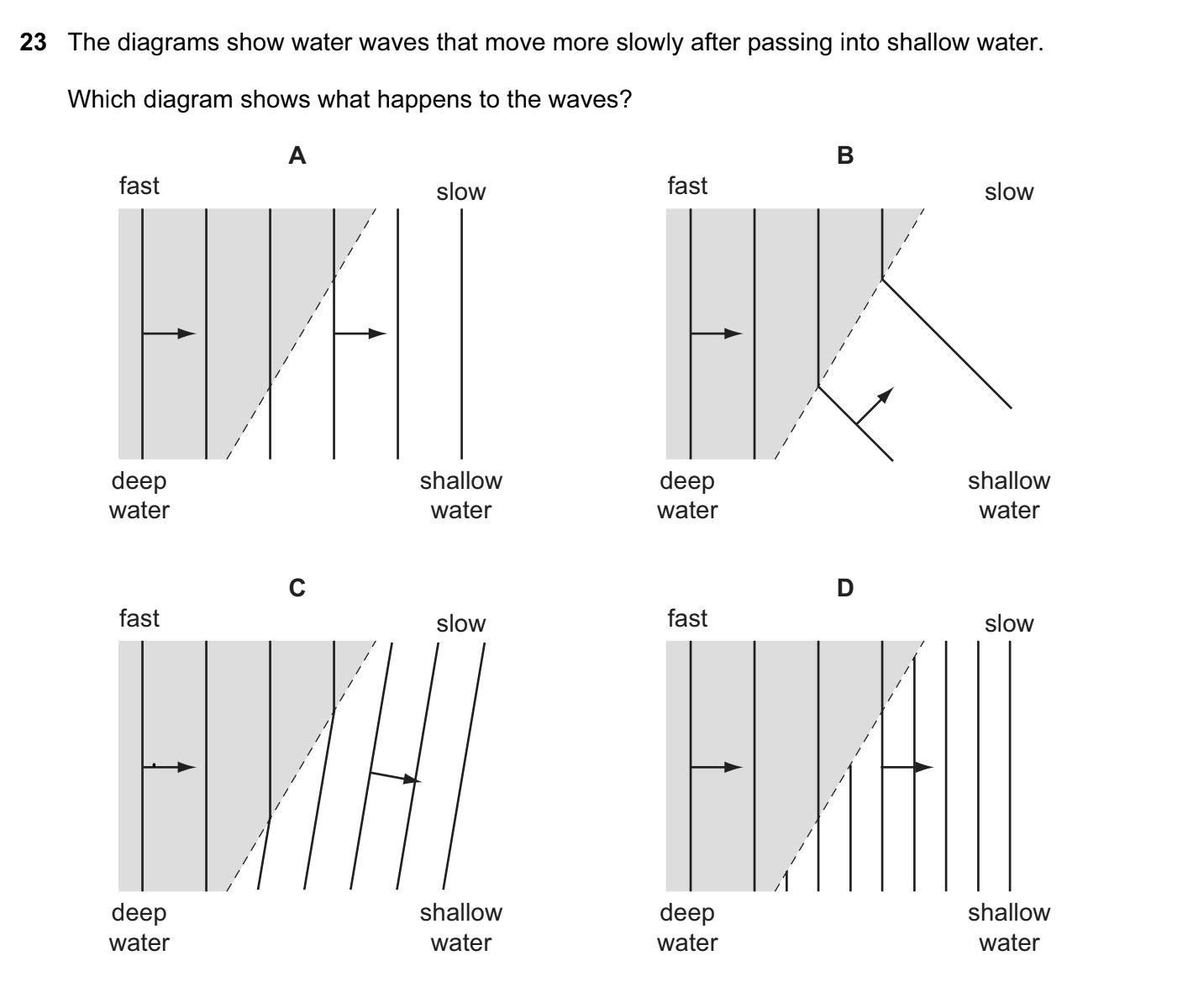 The diagrams show water waves that move more slowly after passing into shallow water.
Which diagram shows what happens to the waves?
A
fast
slow
fast
slow
deep
shallow
deep
shallow
water
water
water
water
D
fast
slow
fast
slow
deep
shallow
deep
shallow
water
water
water
water
B
