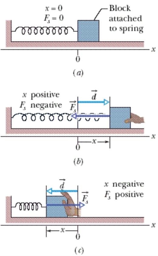 X = 0
-Block
F, = 0
attached
to spring
(a)
x positive
F, negative
-x-
(b)
x negative
F, positive
-X-
(c)
