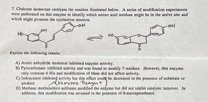 7. Chalcone isomerase catalyzes the reaction illustrated below. A series of modification experiments
were performed on this enzyme to identify which amino acid residues might be in the active site and
which might promote the cyclization reaction.
OH
Ho.
Но
Explain the following results:
A) Acetic anhydride treatment inhibited enzyme activity.
B) Pyrocarbonate inhibited activity and was found to modify 7 residues. However, this enzyme
only contains 6 His and modification of these did not affect activity.
C) lodoacetate inhibited activity but this effect coult be decreased in the presence of substrate or
product.
D) Methane methanethiol sulfonate modified the enzyme but did not inhibit catalytic turnover. In
addition, this modification was reversed in the presence of B-mercaptoethanol.
keNyons Rengent
