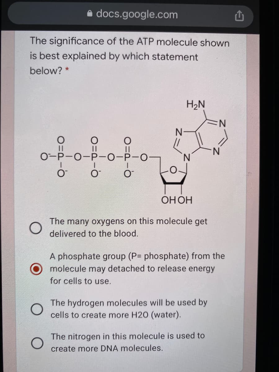 a docs.google.com
The significance of the ATP molecule shown
is best explained by which statement
below? *
H2N
N.
0-P-0-P-0-P-O
O
ОНОН
The many oxygens on this molecule get
delivered to the blood.
A phosphate group (P= phosphate) from the
molecule may detached to release energy
for cells to use.
The hydrogen molecules will be used by
cells to create more H20 (water).
The nitrogen in this molecule is used to
create more DNA molecules.
