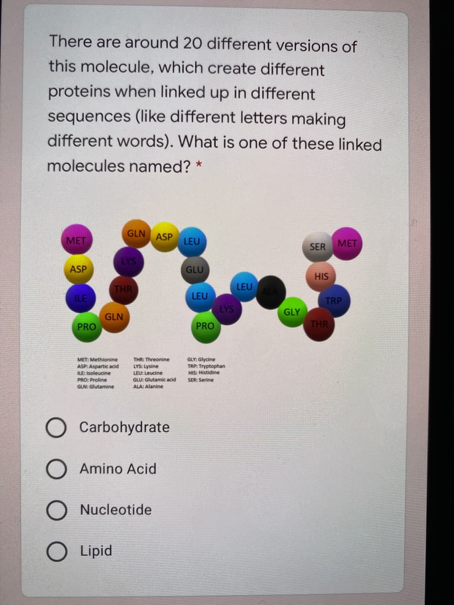 There are around 20 different versions of
this molecule, which create different
proteins when linked up in different
sequences (like different letters making
different words). What is one of these linked
molecules named? *
GLN ASP
MET
LEU
MET
SER
LYS
ASP
GLU
HIS
THR
LEU
ILE
LEU
TRP
LYS
GLY
GLN
PRO
PRO
THR
GLY: Glycine
TRP: Tryptophan
HIS: Histidine
MET: Methionine
THR: Threonine
ASP: Aspartic acid
LYS: Lysine
ILE: Isoleucine
LEU: Leucine
GLU: Glutamic acid
ALA: Alanine
PRO: Proline
SER: Serine
GLN: Glutamine
O Carbohydrate
O Amino Acid
O Nucleotide
O Lipid
