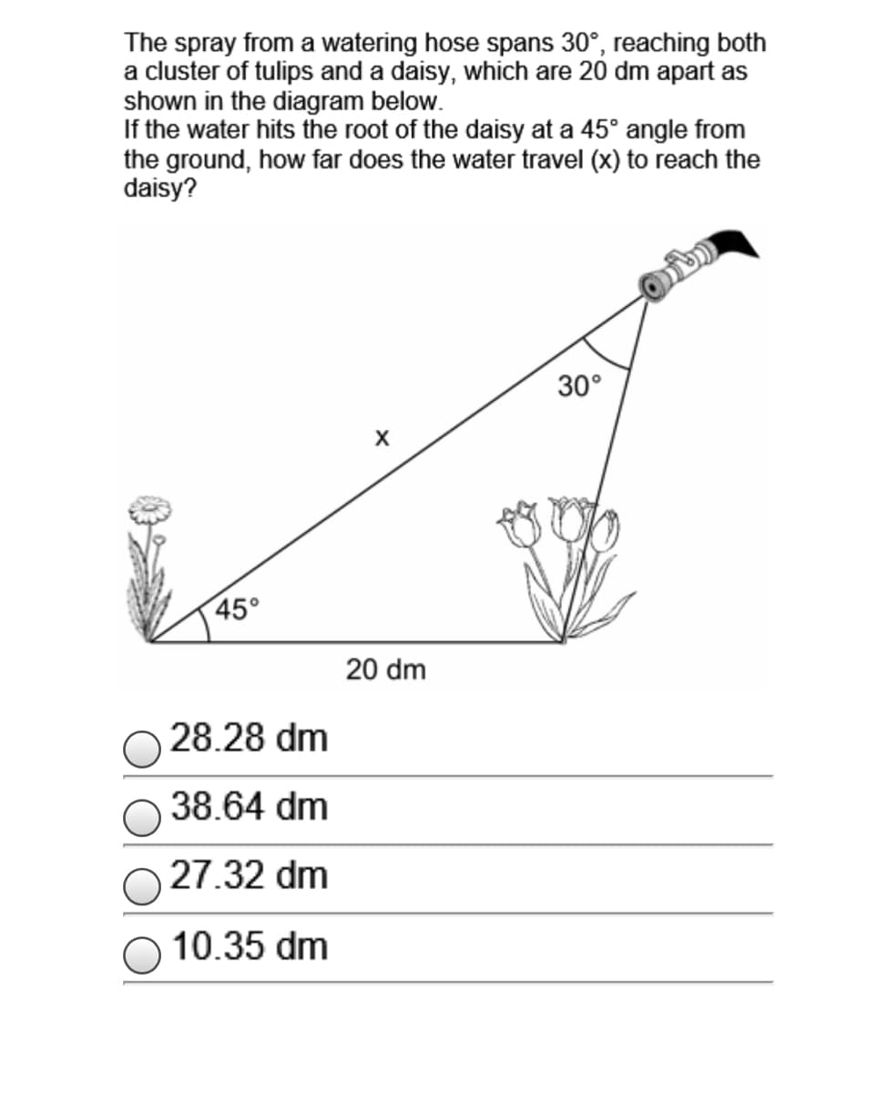 The spray from a watering hose spans 30°, reaching both
a cluster of tulips and a daisy, which are 20 dm apart as
shown in the diagram below.
If the water hits the root of the daisy at a 45° angle from
the ground, how far does the water travel (x) to reach the
daisy?
30°
45°
20 dm
28.28 dm
38.64 dm
27.32 dm
10.35 dm
