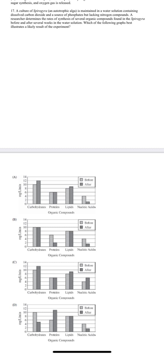 sugar synthesis, and oxygen gas is released.
17. A culture of Spirogyra (an autotrophic alga) is maintained in a water solution containing
dissolved carbon dioxide and a source of phosphates but lacking nitrogen compounds. A
researcher determines the rates of synthesis of several organic compounds found in the Spirogyra
before and after several weeks in the water solution. Which of the following graphs best
illustrates a likely result of the experiment?
(A)
14
O Before
O After
12
10
Carbohydrates Proteins
Lipids Nucleic Acids
Organic Compounds
(B)
14
O Before
I After
12
10
Carbohydrates Proteins
Lipids Nucleic Acids
Organic Compounds
(C)
14
O Before
I After
12
10
Carbohydrates Proteins
Lipids Nucleic Acids
Organic Compounds
D)
14
O Before
I After
Carbohydrates Proteins
Lipids Nucleic Acids
Organic Compounds
