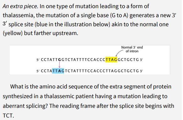 An extra piece. In one type of mutation leading to a form of
thalassemia, the mutation of a single base (G to A) generates a new 3'
3' splice site (blue in the illustration below) akin to the normal one
(yellow) but farther upstream.
Normal 3' end
of intron
5' CCTATTGGTCTATTITCCACCCITAGGCTGCTG 3'
5' CCTATTAGTCTAIIIICCACCCTTAGGCTGCTG 3'
What is the amino acid sequence of the extra segment of protein
synthesized in a thalassemic patient having a mutation leading to
aberrant splicing? The reading frame after the splice site begins with
TCT.
